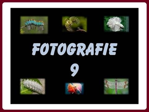 fotografie_-_yveta_9