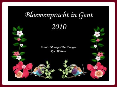 kvetinova_nadhera_bloemenpracht_gent