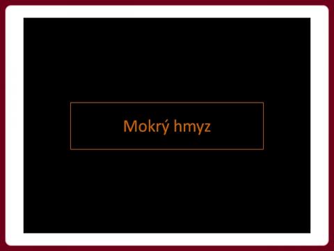 mokry_hmyz_yk