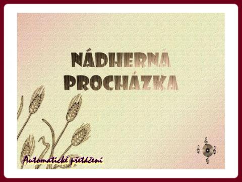 nadherna_prochazka_helena