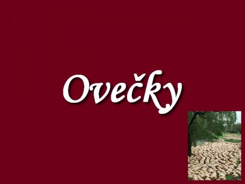 ovecky_quill