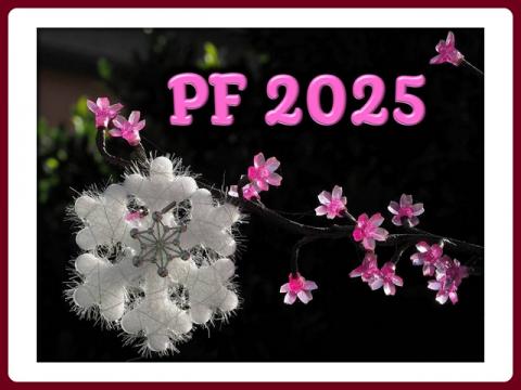 pf_2025_-_md+ld