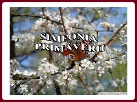 posilam_jaro_-_sinfonia_primaveral_-_gunter