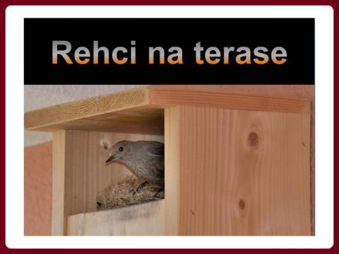 rehci_na_terase