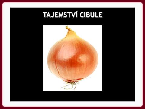 tajemstvi_cibule