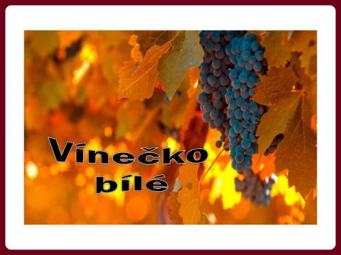 vinecko_bile_-_yveta