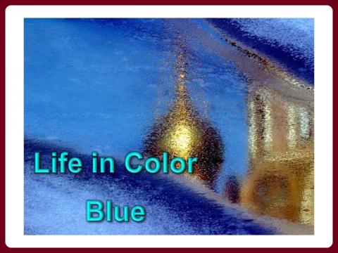 zivot_v-barve_-_modra_-_life_in_color_-_blue_-_olga_e