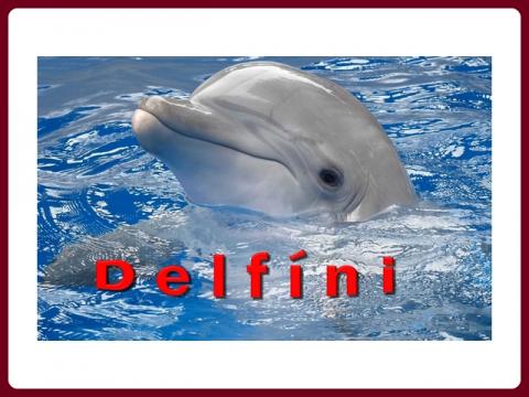 delfini_-_yveta
