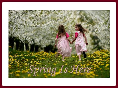 jaro_je_tady_-_spring_is_here_-_judith_3