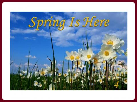 jaro_je_tady_-_spring_is_here_-_judith_4