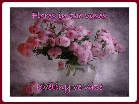 kvetiny_ve_vaze_-_flores_in_the_vases_-_ali
