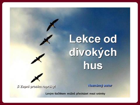 lekce_od_divokych_hus