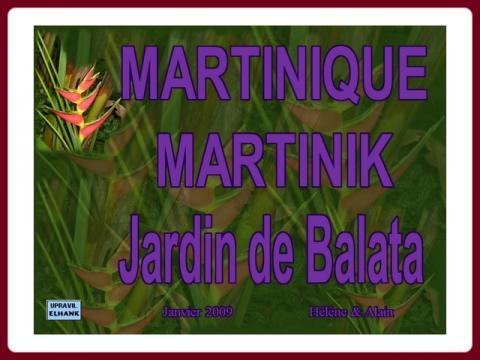 martinique_jardin_de_balata