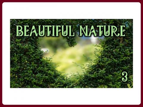 nadherna_priroda_-_beautiful_nature_-_anna_3