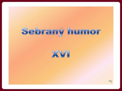 sebrany_humor_-_js_16