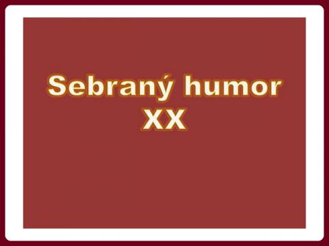 sebrany_humor_-_js_20